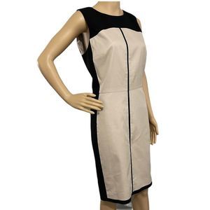 Ann Taylor Shift Slimming Dress